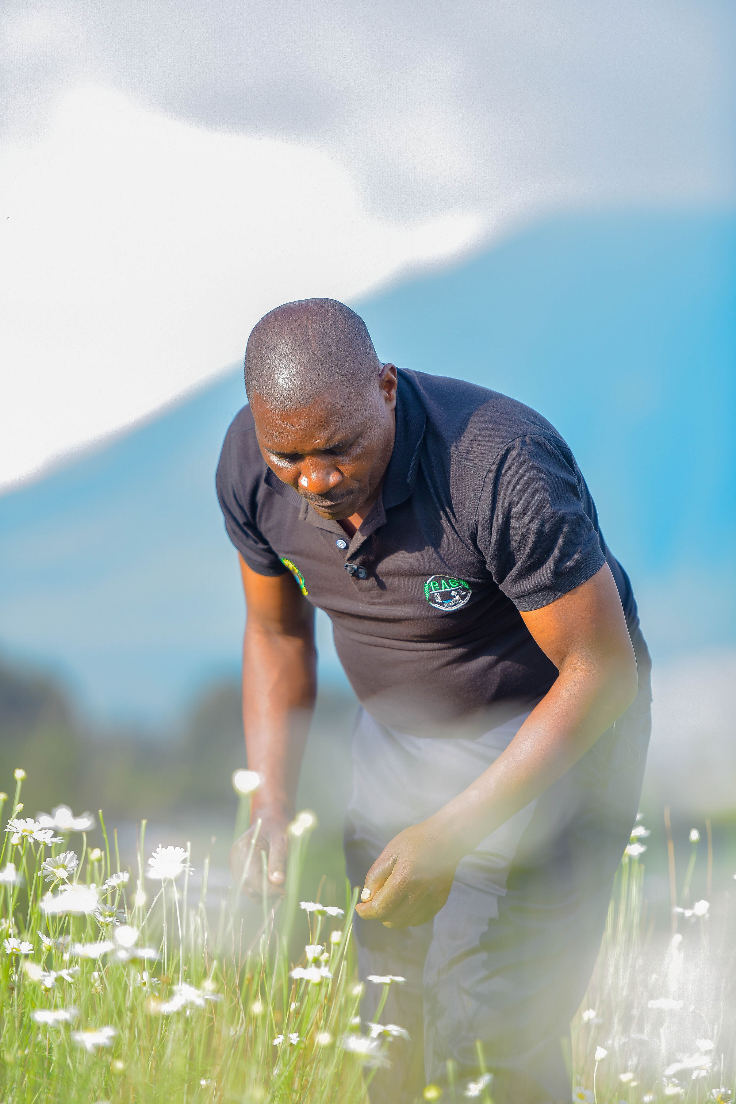 Successful Certified Group