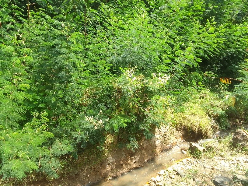 Impact Image 3